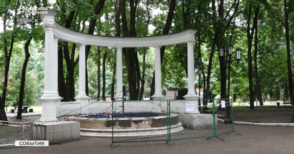 В парке Толстого в Брянске обновляют ротонду и деревянные фигуры