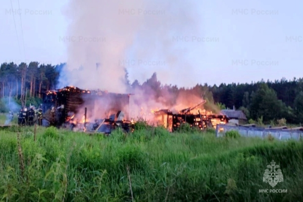 Оперативная информация за неделю (08.06.2024-13.06.2024)