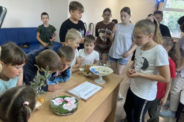 В ГБУ КЦСОН Комаричского района открылась выставка «Лето в ракушке»