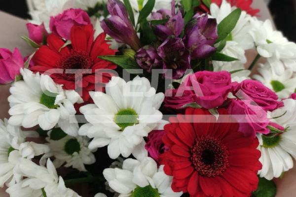 Губернатор Александр Богомаз поздравил награжденных госнаградами брянцев