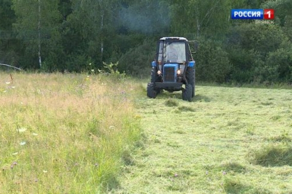 Сельхозпредприятия Брянской области завершили заготовку кормов