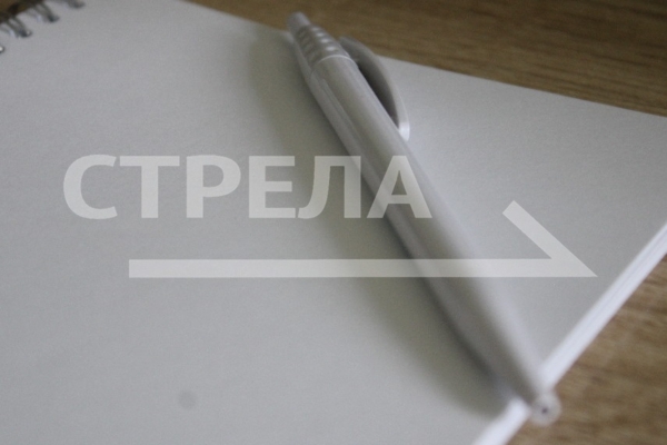 Брянская область находится в числе лидеров по объему мер поддержки участников СВО