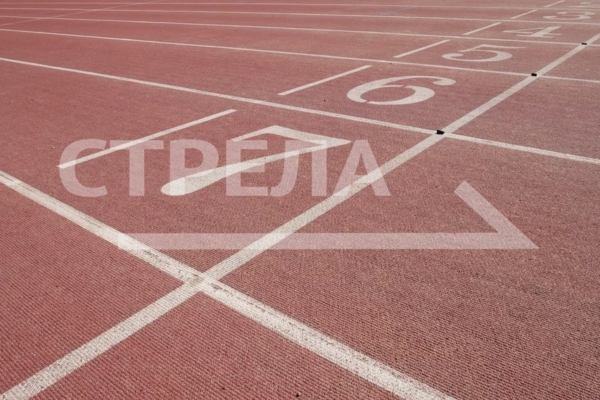 Брянская область заняла 15 место в рейтинге реализации комплекса ГТО