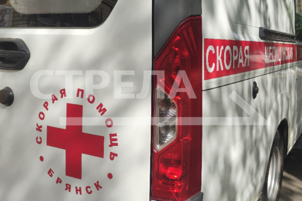 За девять лет брянские медицинские организации получили 645 новых автомобилей