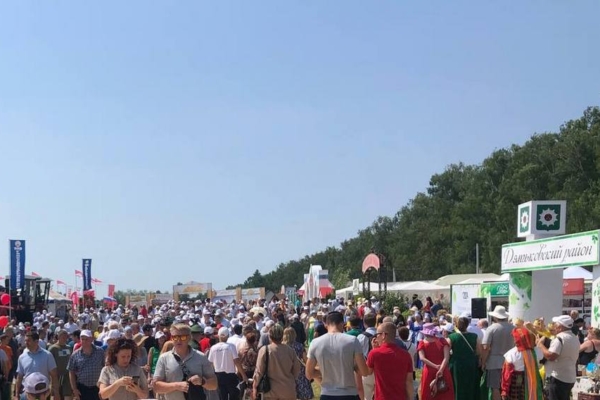 Агропромышленная выставка День Брянского поля открылась в Кокино