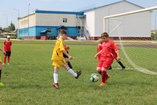 Спортинвентарь – в комаричские школы