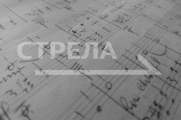 В Брянской области в рамках нацпроекта приобретут два автоклуба