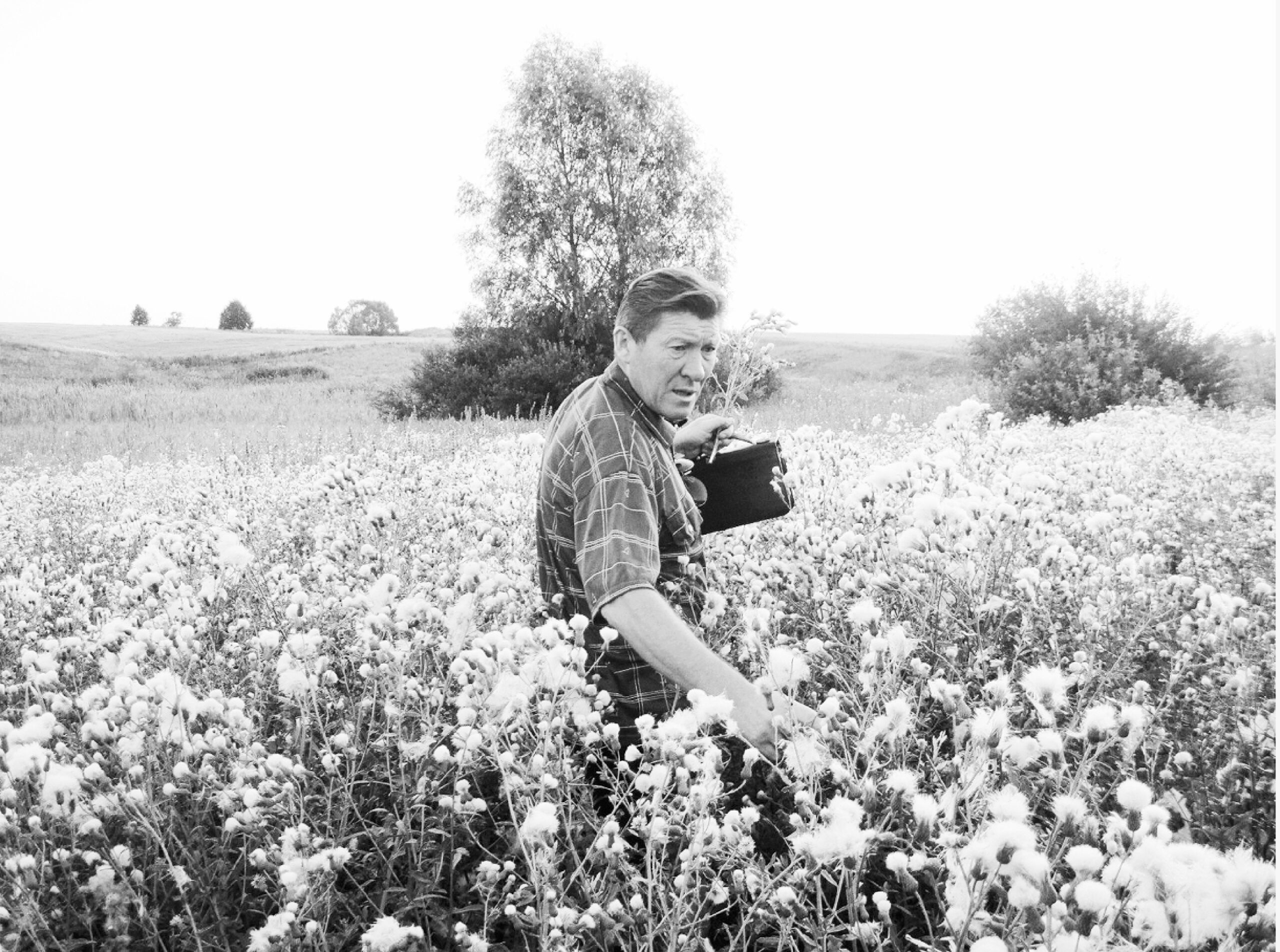 Шуми, дубрава, в память по нему, кто душу светлую росткам зеленым отдал