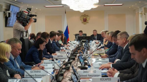 На заседании комитета Совета Федерации высоко оценили развитие Брянщины