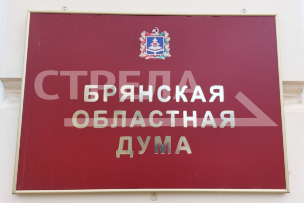 В Брянске депутаты обсудили реализацию национального проекта «Экология»