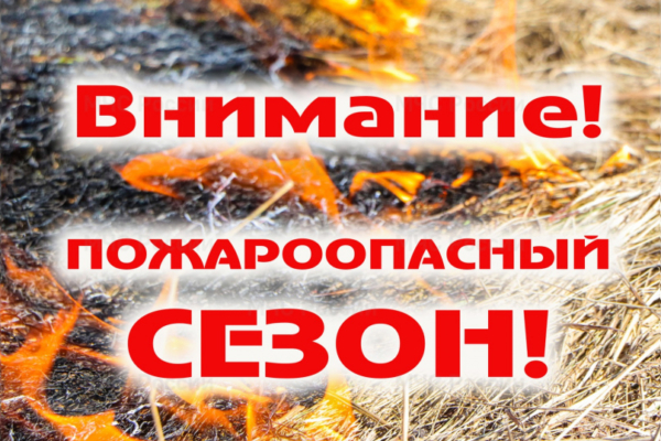 Администрация Комаричского муниципального района информирует