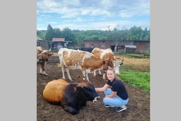 Грант «Агростартап» помог брянскому фермеру приобрести скот и сельхозтехнику