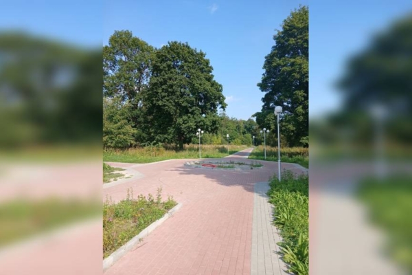 В Дятькове продолжается благоустройство городского парка