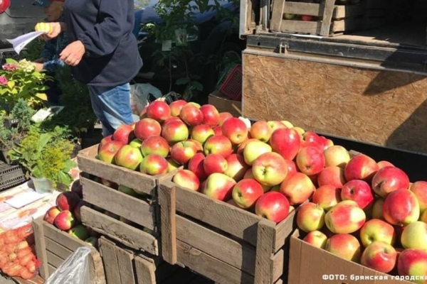 С 17 августа в Брянской области откроются ярмарки выходного дня