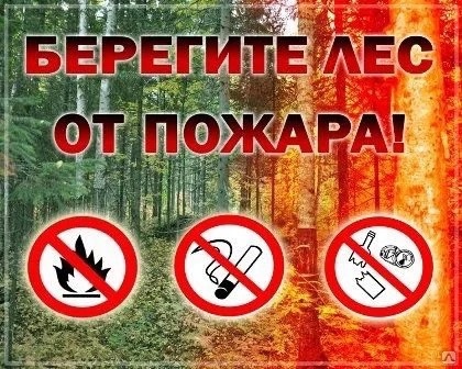 Жителей Комаричского района  уведомляют о ведении особого противопожарного режима в лесах