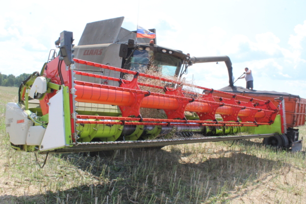 Уборочная страда в Комаричском районе близится к завершению