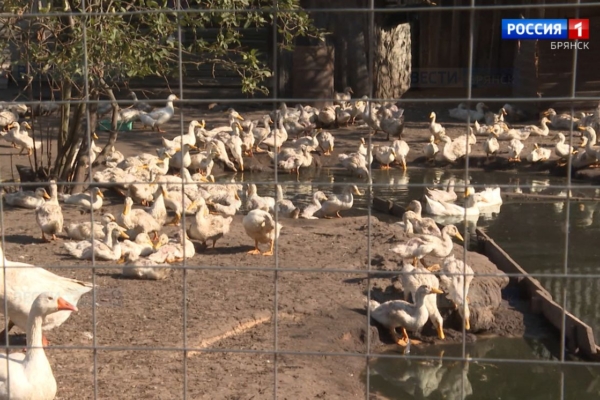 Программа «Агростартап» в действии 23 Сентябрь 2024