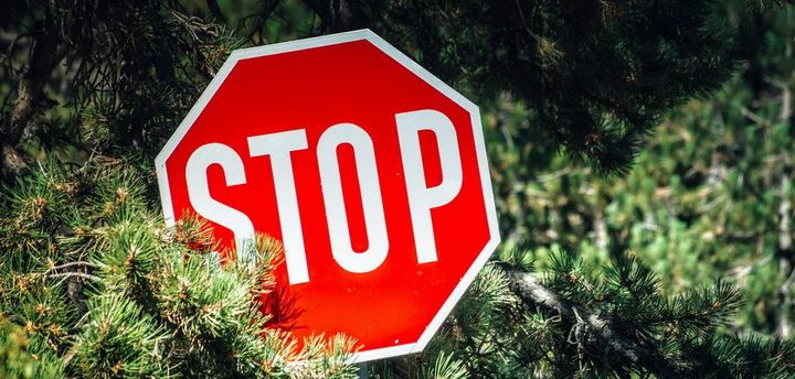 Информация для жителей Комаричского района: продлено ограничение на посещение лесов