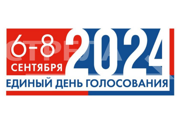 В Брянской области в 08:00 открылись избирательные участки для голосования