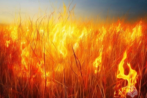 Комаричан призывают: предупредите пожар — не жгите сухую траву!