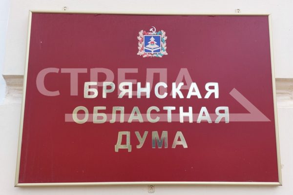 Заместителями председателя Брянской областной Думы восьмого созыва стали Николай Якушенко и Владимир Пронин