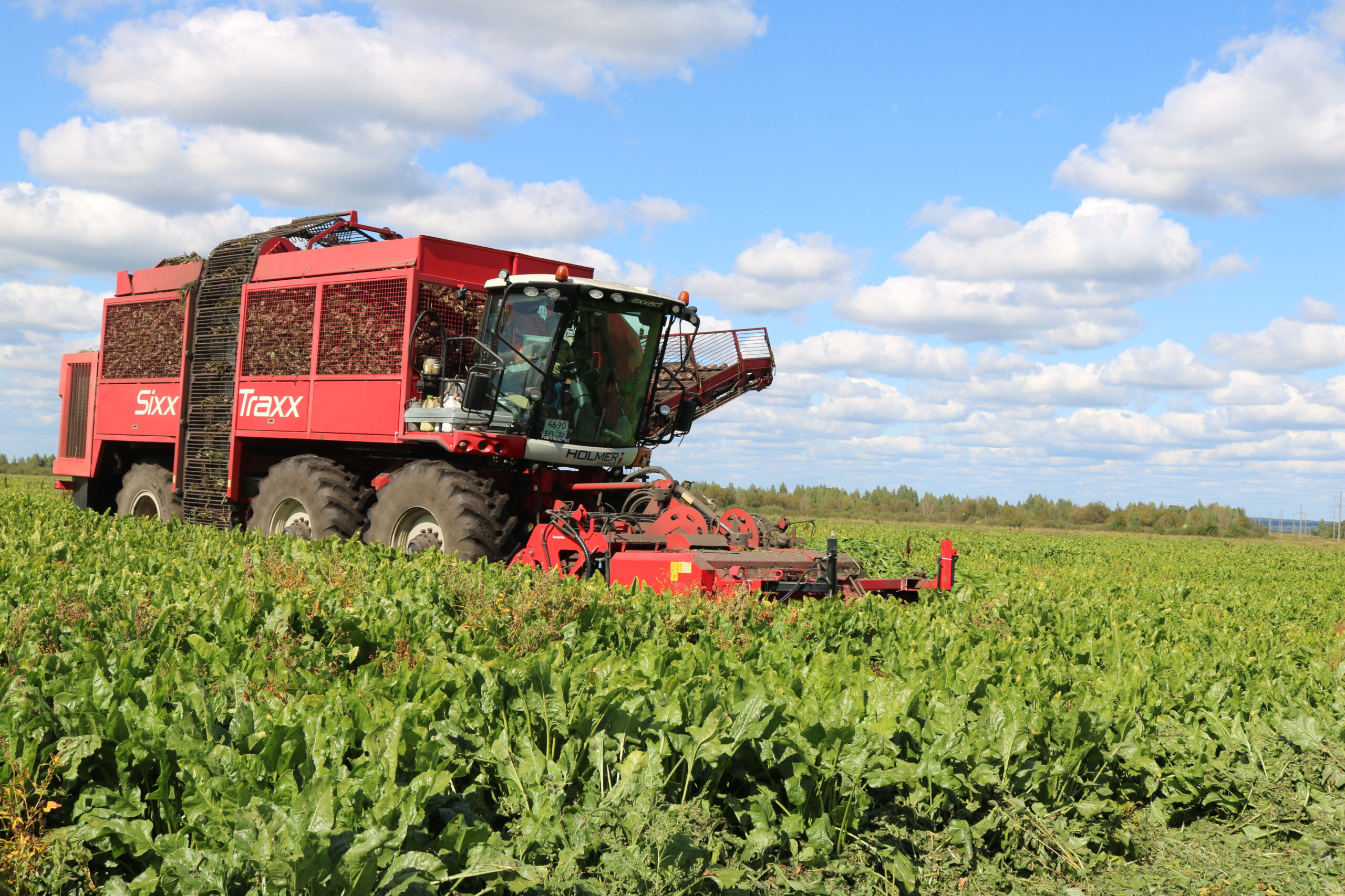 В Комаричском районе приступили к уборке сахарной свеклы