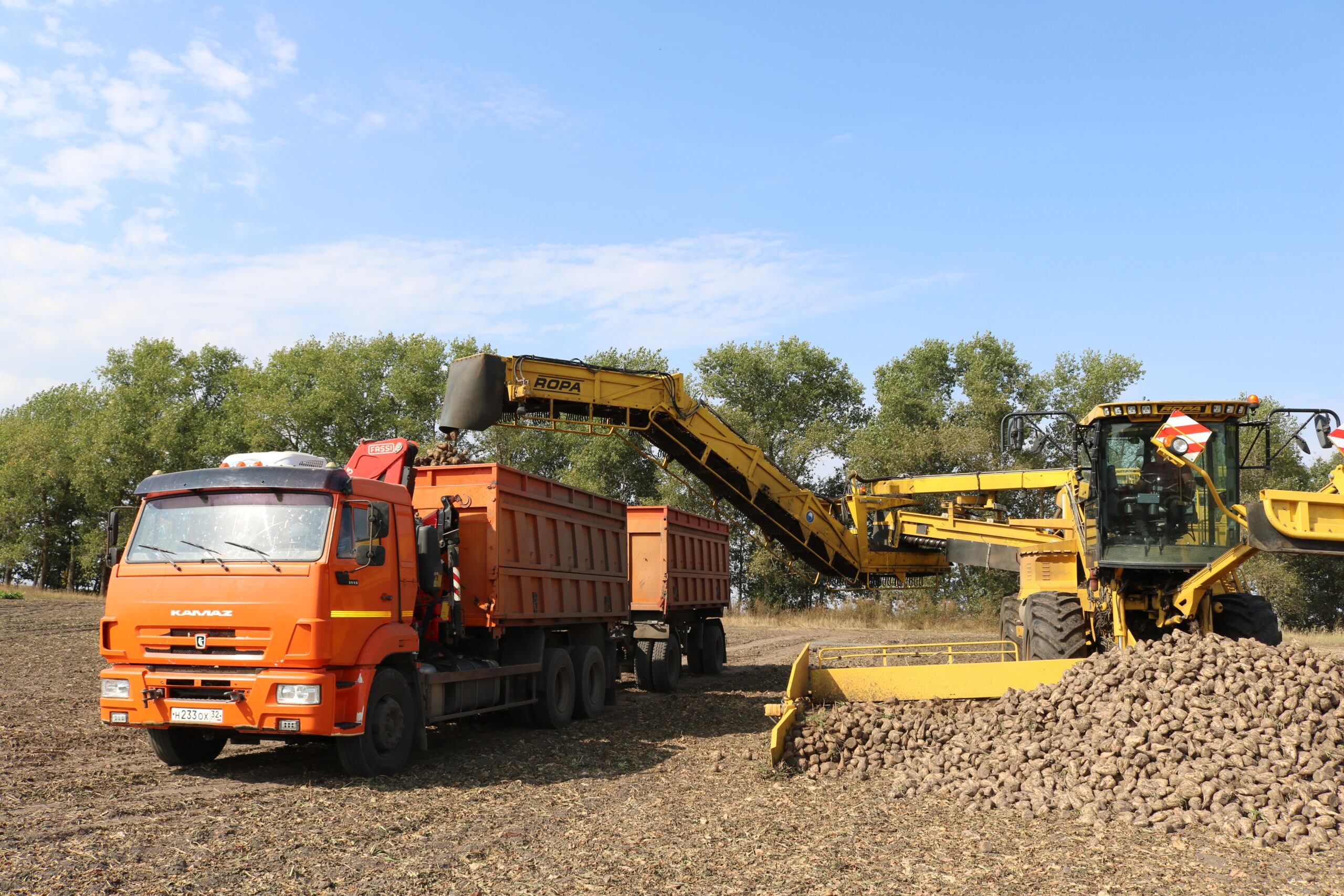 Комаричское предприятие «Сельхозник Тимирязевский» — хозяйство широкого профиля