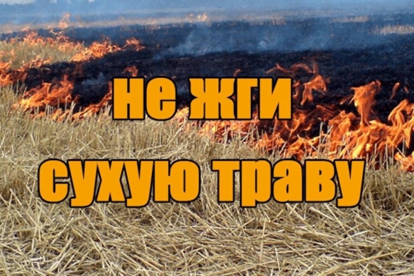 МЧС напоминает комаричанам: в Брянской области проводится месячник «Сухая трава»