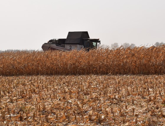 В Климовском районе подвели итоги текущего сельскохозяйственного года