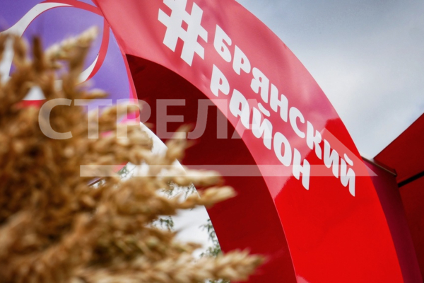 Брянский район готовит экспозицию ко Дню муниципалитетов