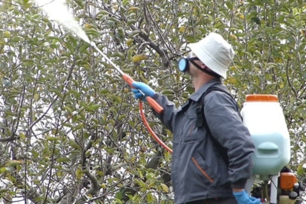 Комаричским садоводам на заметку