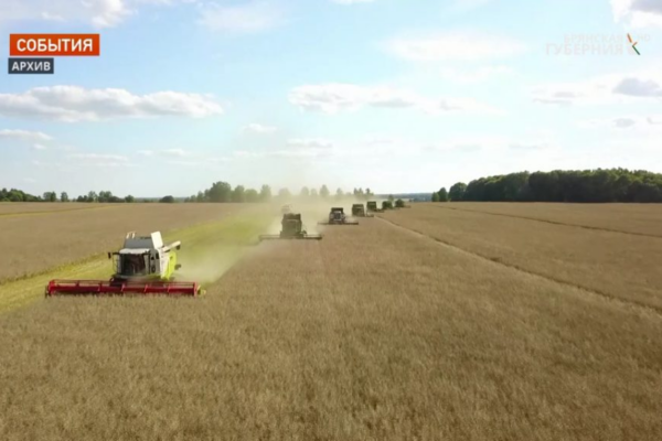 Брянские аграрии встречают профессиональный праздник с хорошими результатами