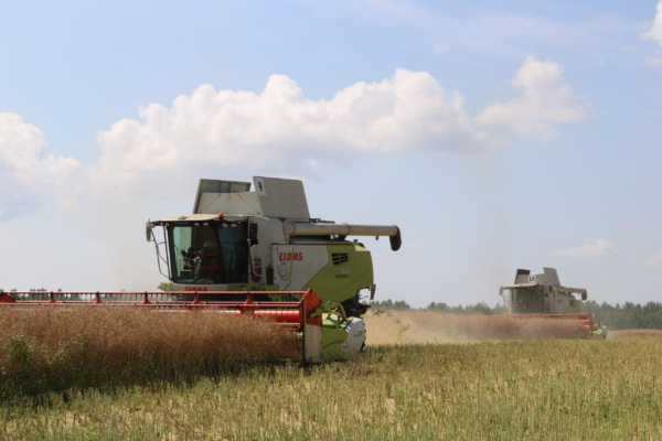 Комаричские работники агропромышленного комплекса отмечают профессиональный праздник