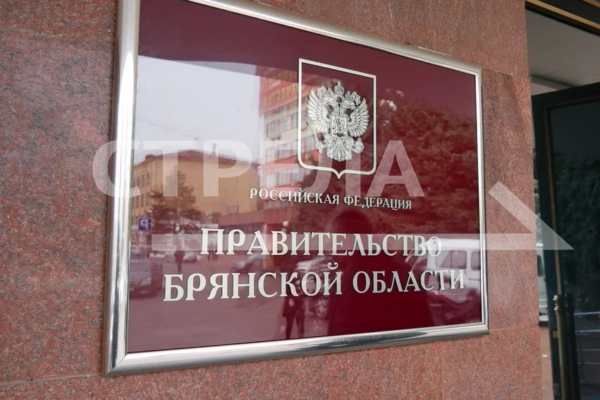 В Брянской области реализуются меры поддержки многодетных семей