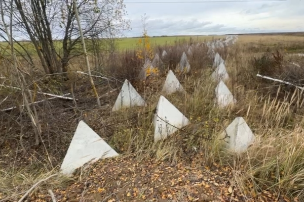 Военкор Сладков раскрыл тайну брянской безопасности