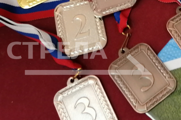 Брянский самбист завоевал бронзу на Кубке России