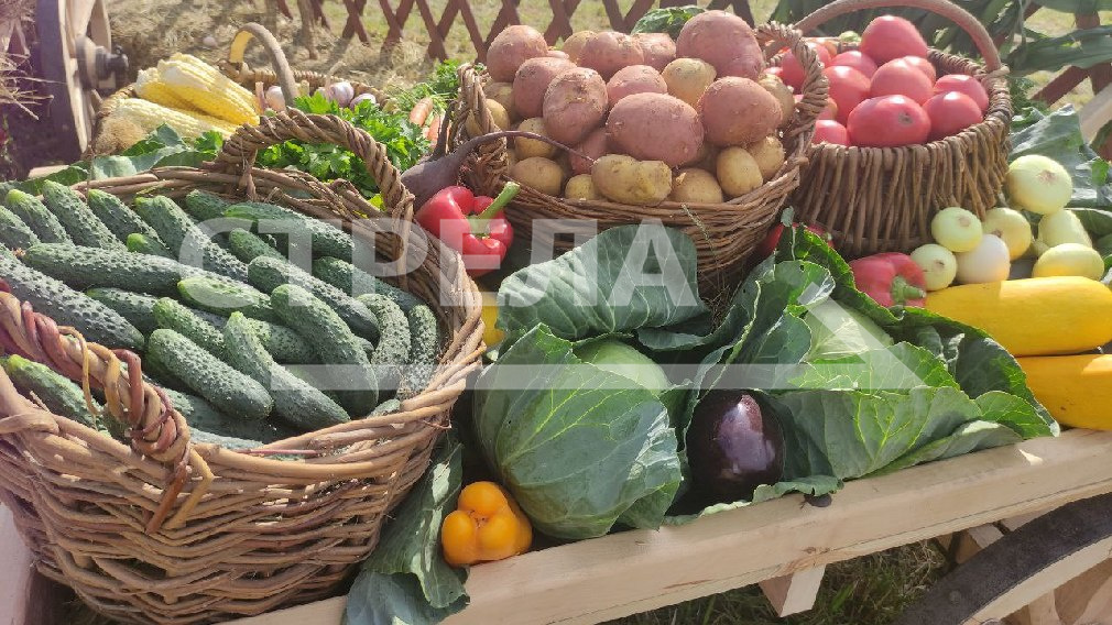 Сельхозпродукцию по низким ценам можно приобрести на брянских ярмарках выходного дня