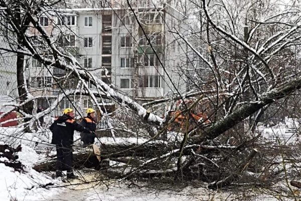В Брянске ликвидируют последствия второго снегопада
