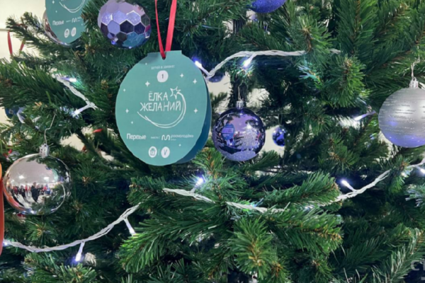 Брянцы могут исполнить детские мечты в рамках акции «Ёлка желаний»