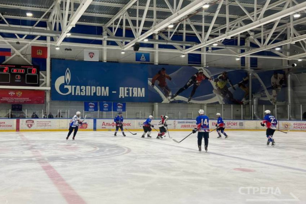 Накануне Дня российского студенчества прошел хоккейный матч между командами правительства и молодежной сборной Брянщины