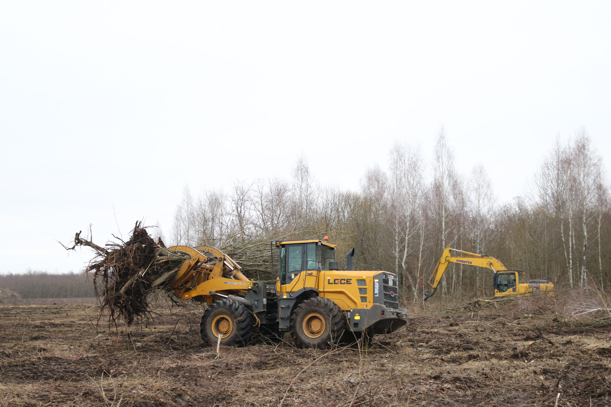 Чтобы каждый ранее заброшенный гектар в Комаричском районе стал приносить доход