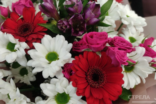 Губернатор Александр Богомаз поздравил работника Росреестра с высокой госнаградой