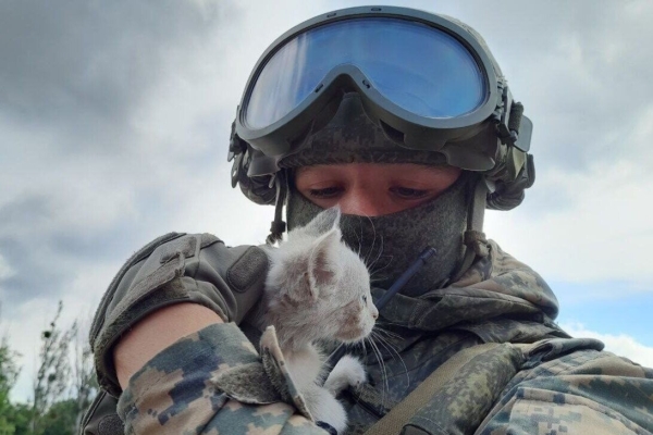 Действующий участник специальной военной операции Иван М.: