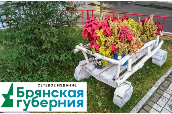 В брянской Сеще два двора благоустроят за 2 млн рублей