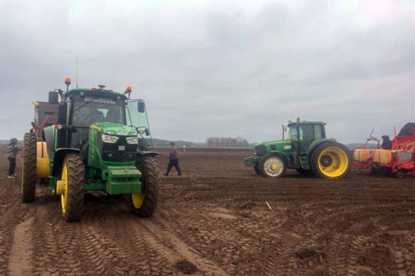 Брянские аграрии приступили к посадке раннего картофеля