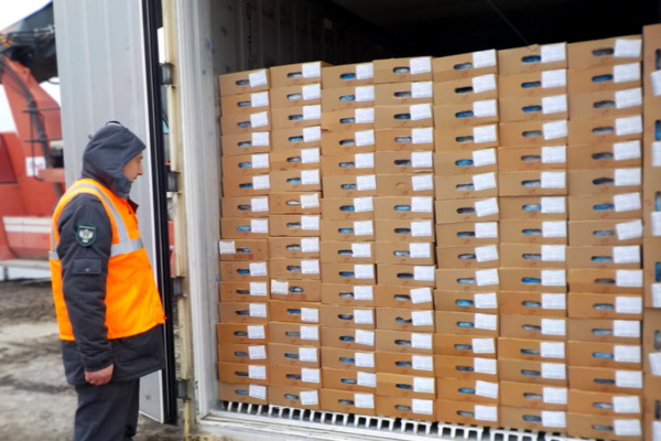 За два месяца Брянщина экспортировала 15 тысяч тонн животноводческой продукции