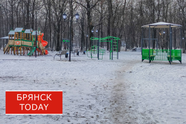 В Брянской области подвели итоги отбора инициативных проектов на 2025 год