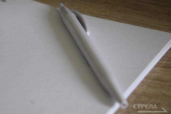 Брянская область пятая в России по реализации проекта «Пушкинская карта»