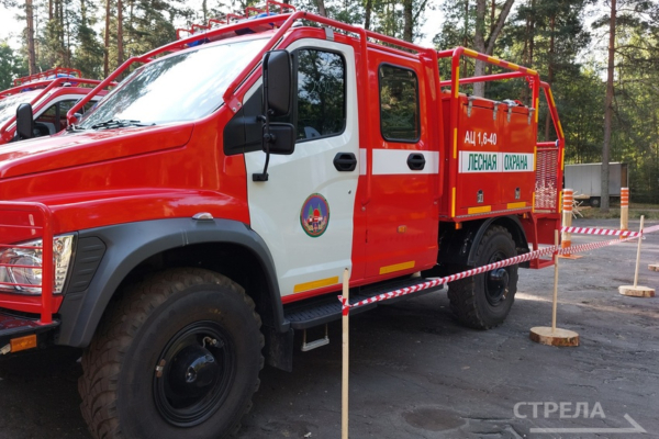 За шесть лет по нацпроекту на Брянщине приобрели 89 единиц лесопожарной техники