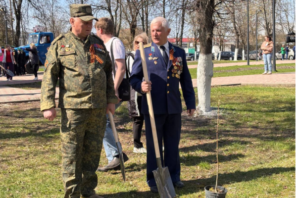 В Брянске в сквере Ленина высадили рябиновую аллею